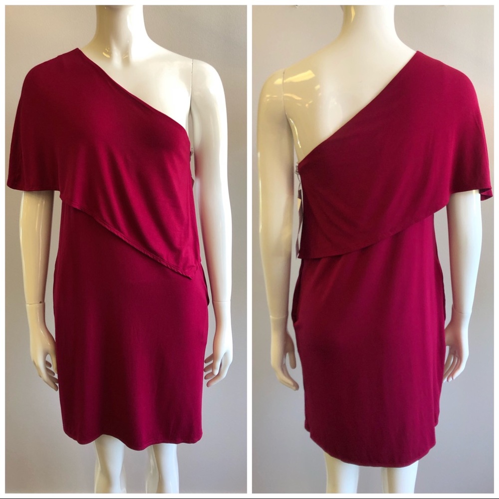 NWT Ella One Shoulder Sangria Dress Small
